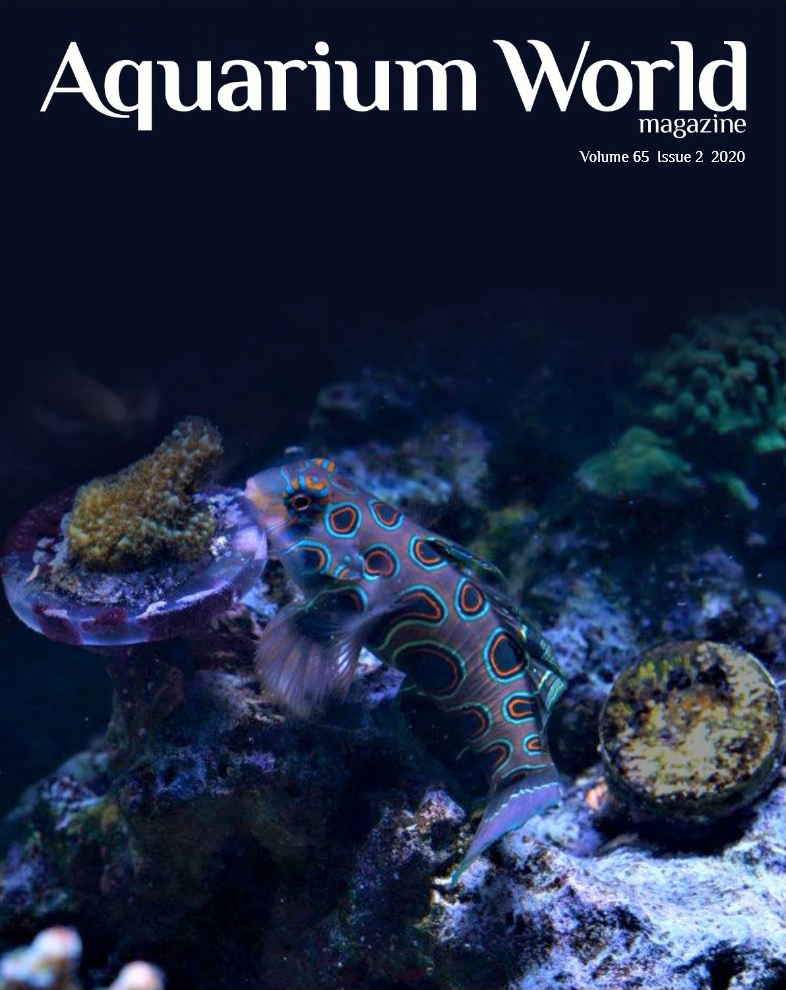 Aquarium World Magazine Volume 65 issue 2 2020 تصویر یک مجله