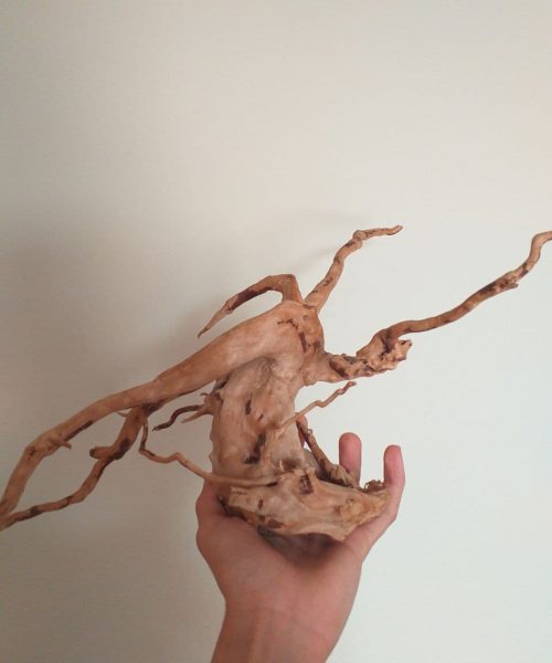 چوب