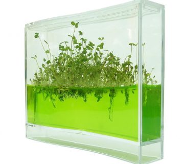 plantarium