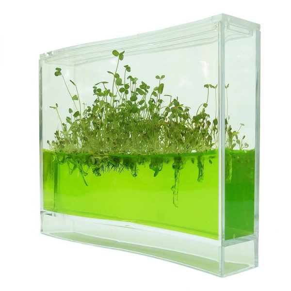 plantarium